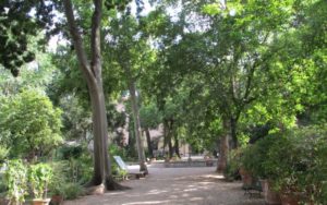 Giardino_dei_semplici_vialetto-620x388