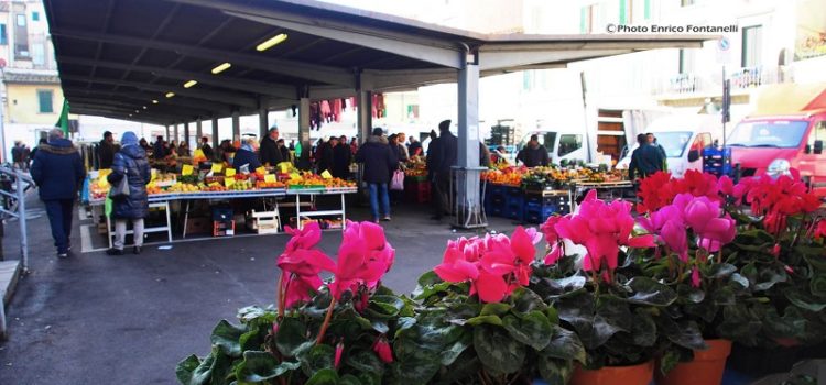 Il mercato di S.Ambrogio.