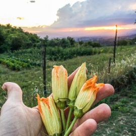 Attulaio, un agriturismo subito sotto il paradiso. Attulaio, un agriturismo subito sotto il paradiso.