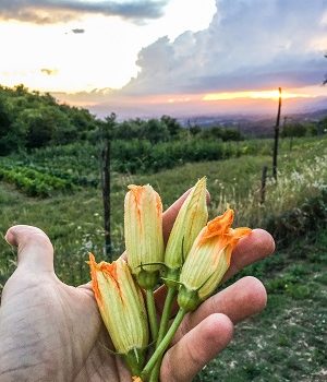 Attulaio, un agriturismo subito sotto il paradiso.