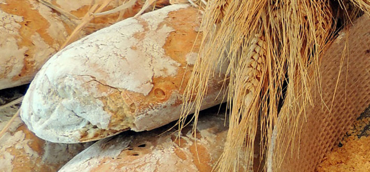 Il pane “sciocco”.